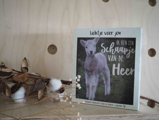 Lichtje voor jou: Ik ben een schaapje van de Heer