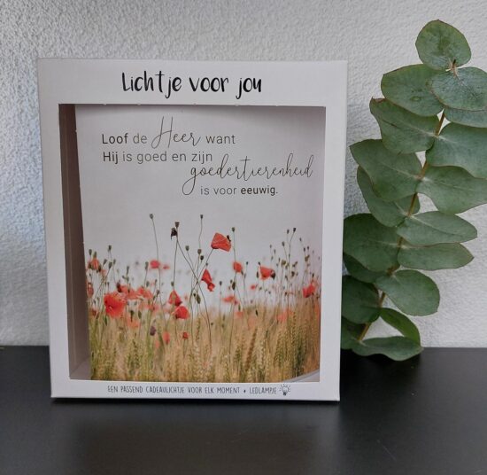 Lichtje voor jou: Looft de Heer..