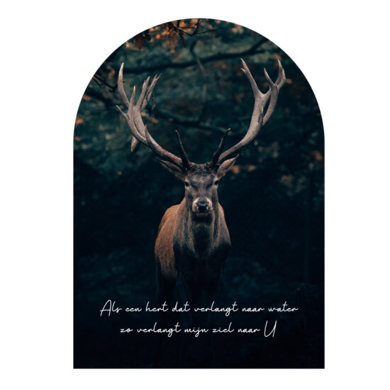 Muurvorm - Als een hert