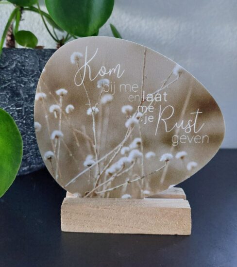 Rotsje voor jou - Kom bij me..