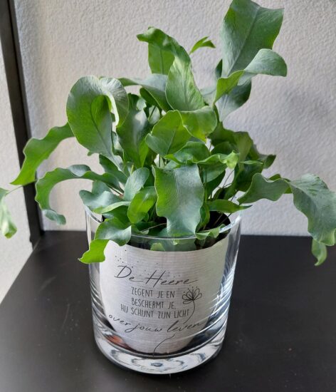 Cilinder Vaas S: De Heere zegent je..