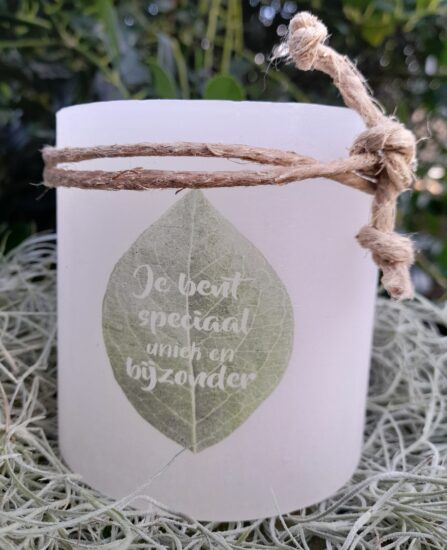 Windlicht S Je bent speciaal, uniek en bijzonder