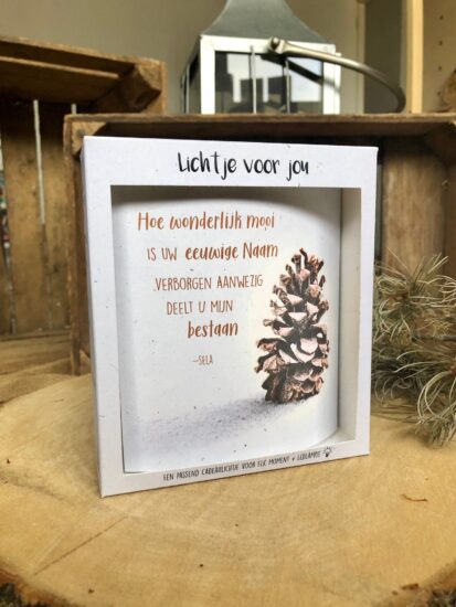 Lichtje voor jou: Hoe wonderlijk mooi is uw eeuwige Naam