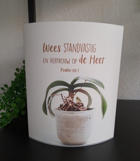 Lichtje voor jou: Wees standvastig en vertrouw..