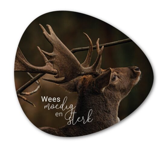 Muurvorm Rots - Wees moedig en sterk