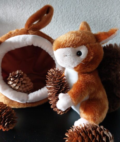 Vriendje voor jou - Eekhoorn