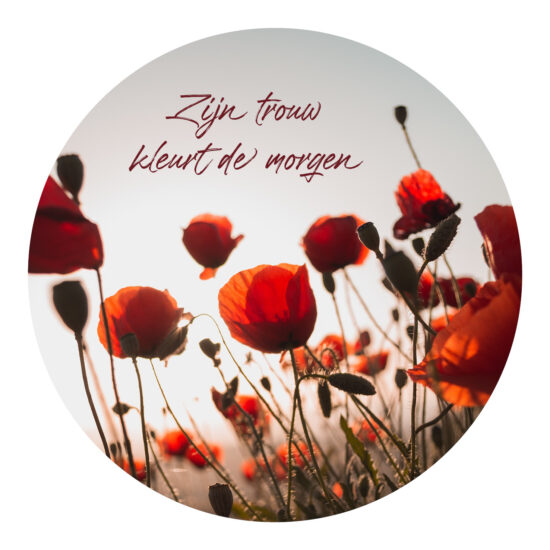 Muurcirkel 25 cm - Zijn trouw kleurt de morgen
