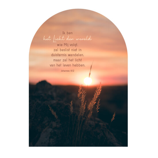 Muurvorm - Licht van de wereld