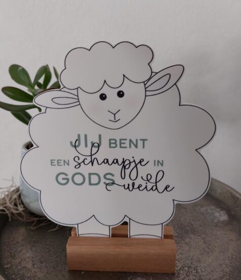 Schaapje voor jou - Jij bent een schaapje in Gods weide