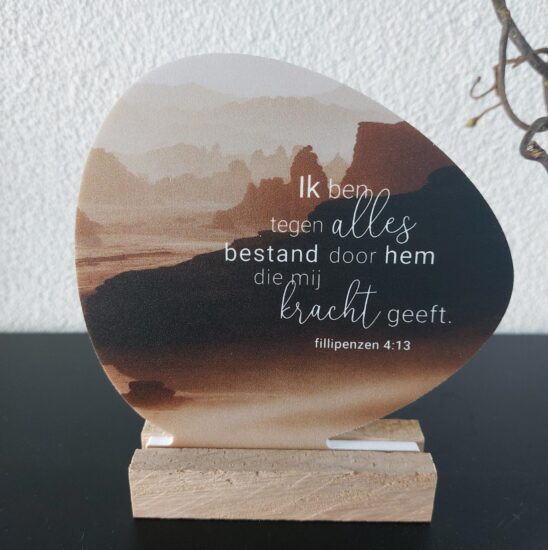 Rotsje voor jou -Ik ben tegen alles bestand..