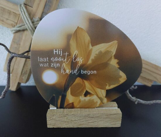 Rotsje voor jou -Hij laat nooit los...