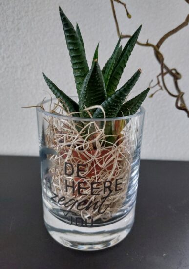 Cilinder Vaas XS: De Heere zegent jou