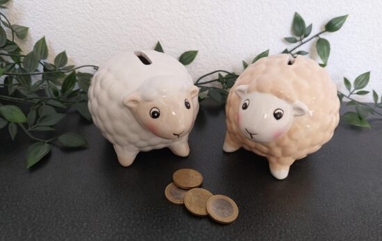 Spaarpot schaap (set van 2) - consumentadviesprijs per stuk € 8,50