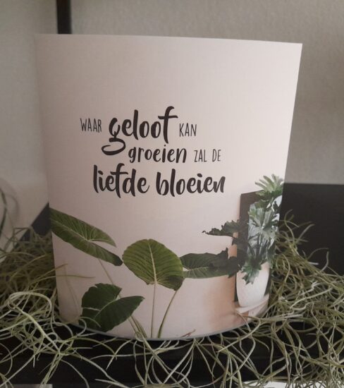 Lichtje voor jou: Waar geloof kan groeien...