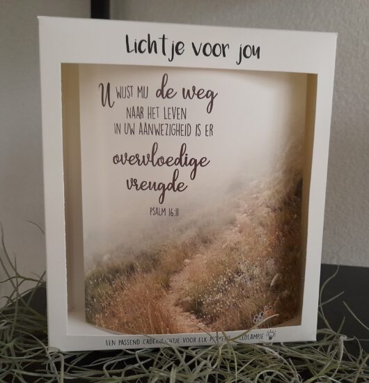 Lichtje voor jou: U wijst mij de weg
