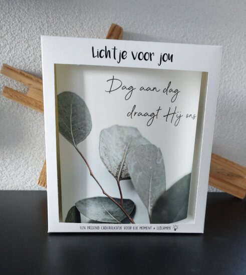 Lichtje voor jou: Dag aan dag draagt Hij ons