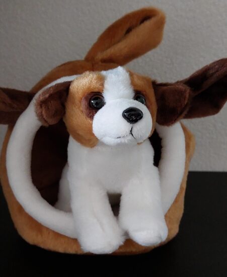 Vriendje voor jou - Hondje