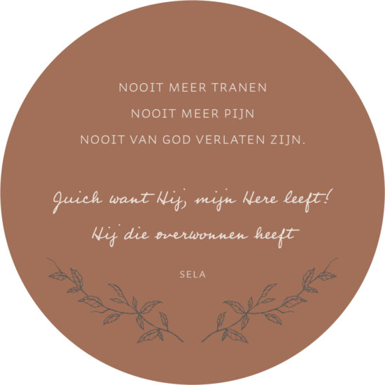 Muurcirkel Bruin 25 cm - Nooit meer tranen