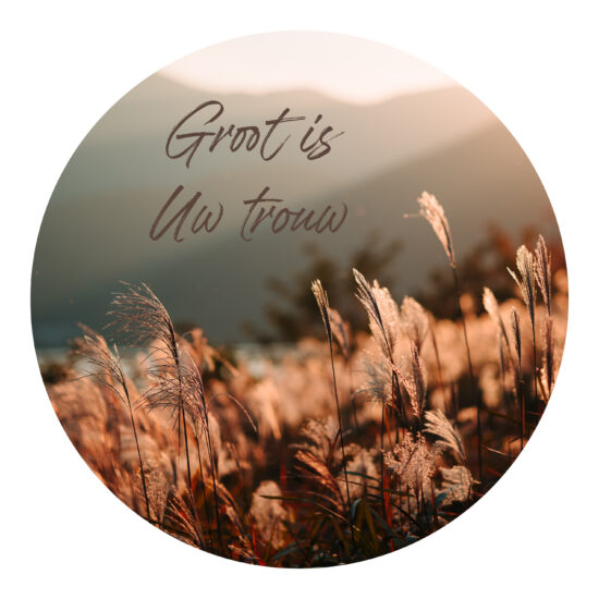 Muurcirkel 25 cm - Groot is Uw trouw