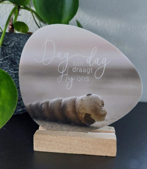 Rotsje voor jou - Dag aan dag draagt Hij ons