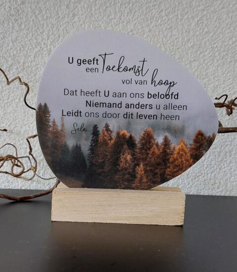 Rotsje voor jou - U geeft een toekomst vol van hoop