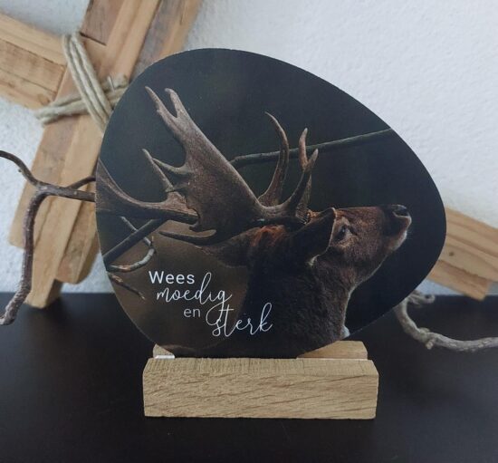 Rotsje voor jou -Wees moedig en sterk