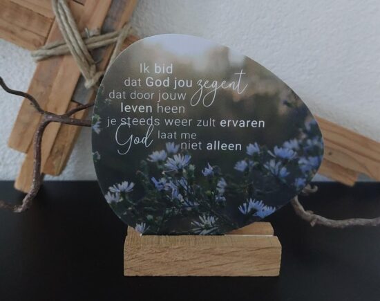 Rotsje voor jou -Ik bid dat God jou zegent (witte bloem)