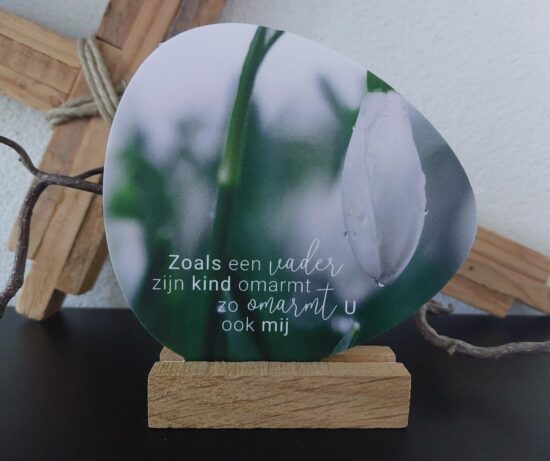 Rotsje voor jou -Zoals een vader zijn kind..