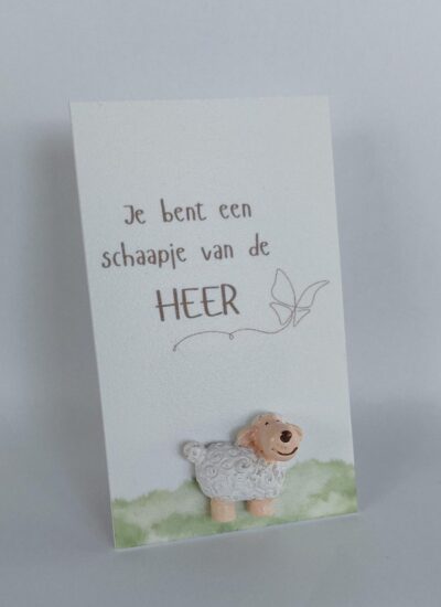 Wenskaarthouder magneet schaap - Je bent een schaapje..