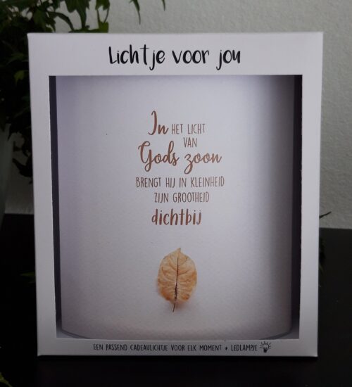 Lichtje voor jou: In het licht van Gods Zoon