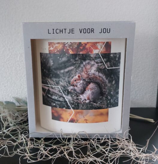 Lichtje voor jou: Eekhoorn