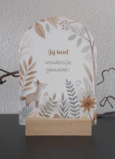 Boog voor jou Kids - Jij bent wonderlijk gemaakt!