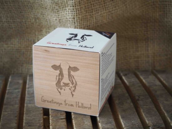 Groei kubus: Dutch Cow