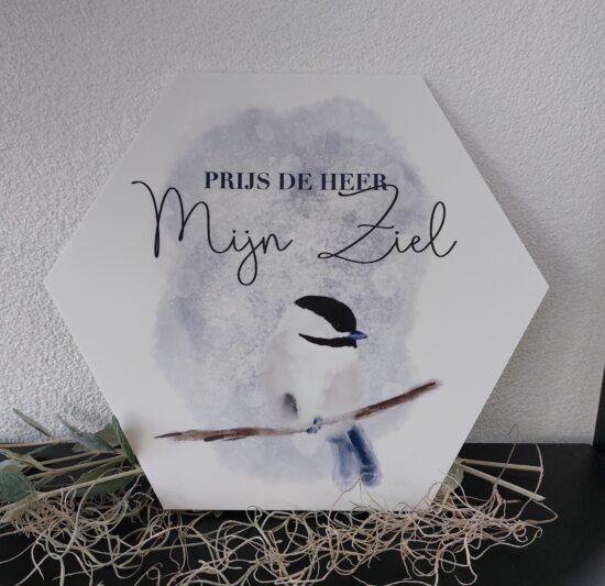 Muurcirkel Honingraat - Prijs de Heer mijn ziel