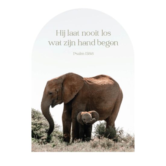 Muurvorm - Hij laat nooit los..