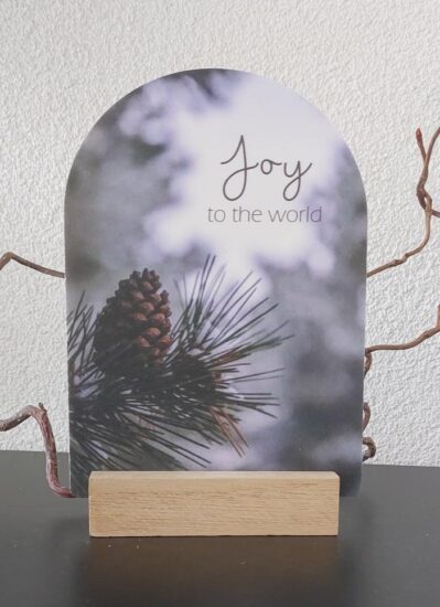 Boog voor jou Kerst - Joy to the world
