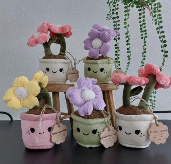Knuffelplant bloem - blij met jou! (incl. label) - set van 3 (consumentadviesprijs per stuk € 11,75)