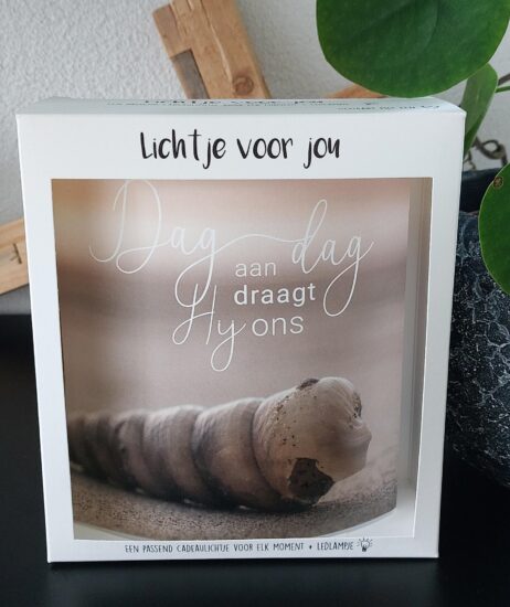 Lichtje voor jou: Dag aan dag draagt Hij ons (schelp)