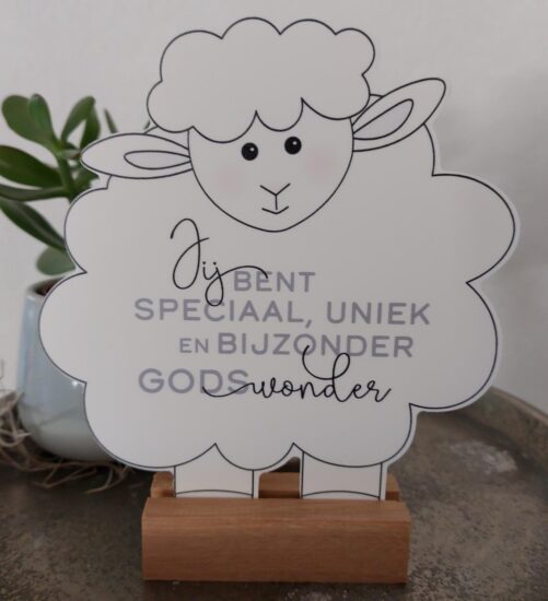 Schaapje voor jou - Jij bent speciaal, uniek en bijzonder..