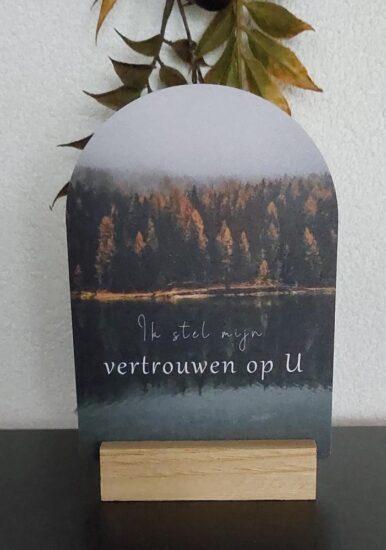 Boog voor jou  - Ik stel mijn vertrouwen op U